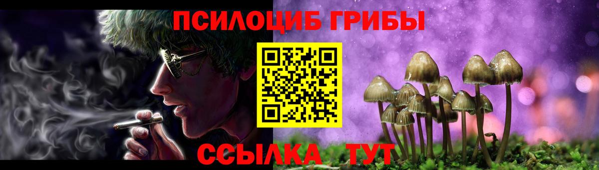 Азнакаево  Галлюциногенные грибы мицелий  Псилоцибиновые грибы ЛСД  Вход с VPN 